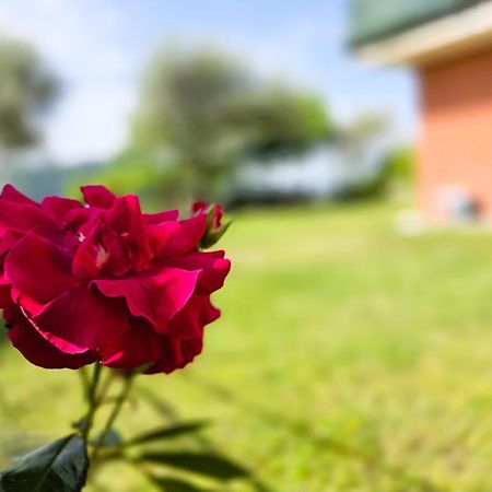 Relais Villa Olivi Costermano Zewnętrze zdjęcie