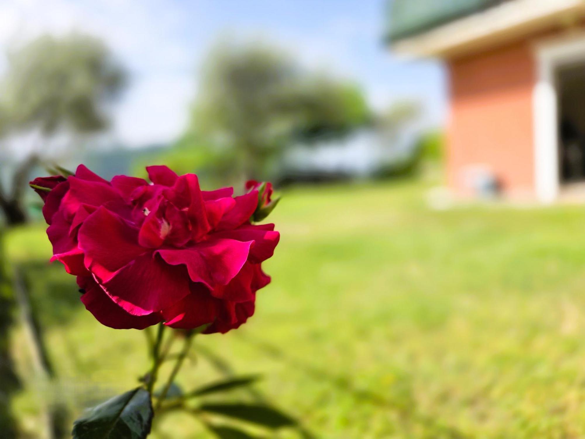 Relais Villa Olivi Costermano Zewnętrze zdjęcie
