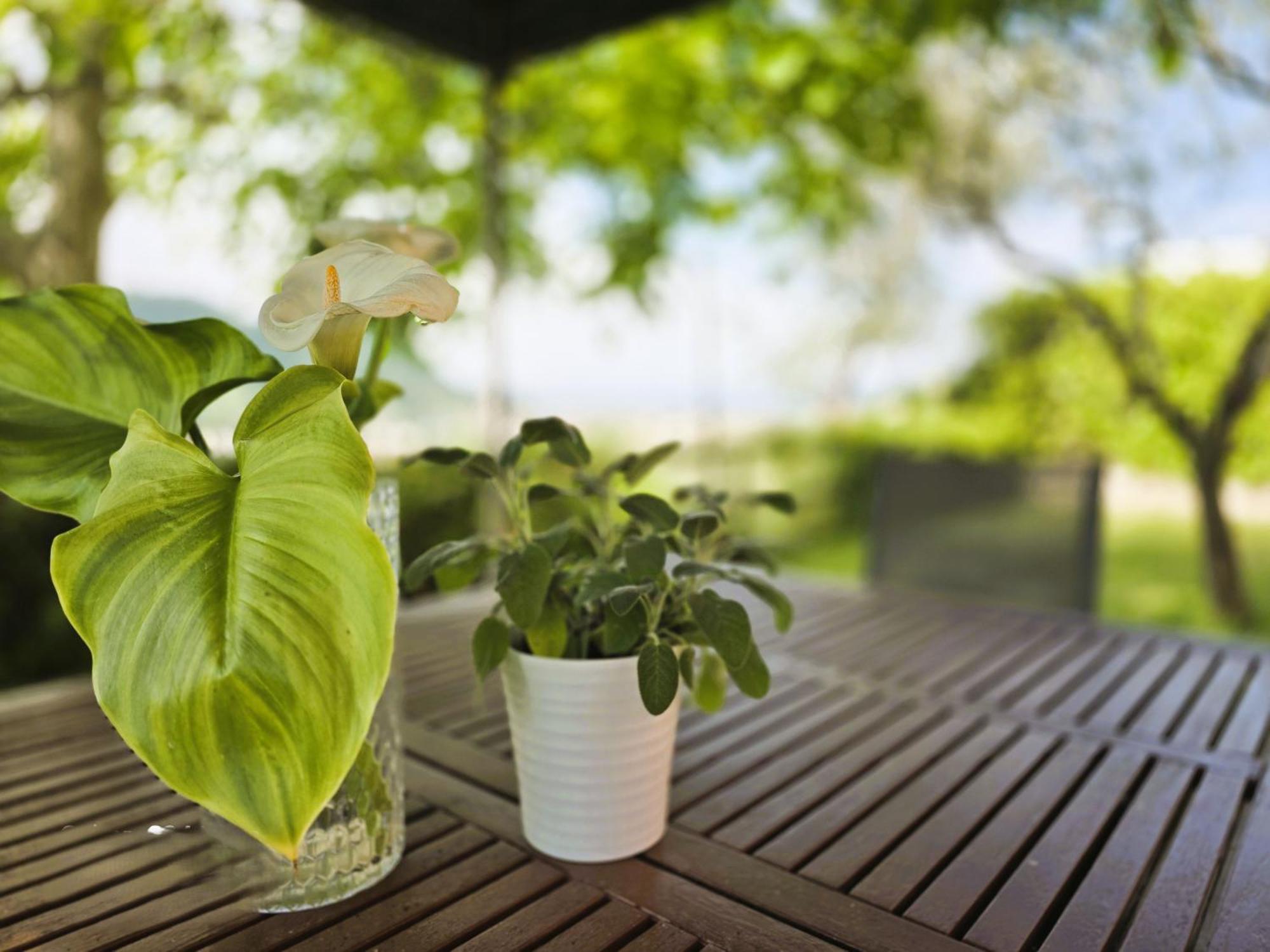 Relais Villa Olivi Costermano Zewnętrze zdjęcie