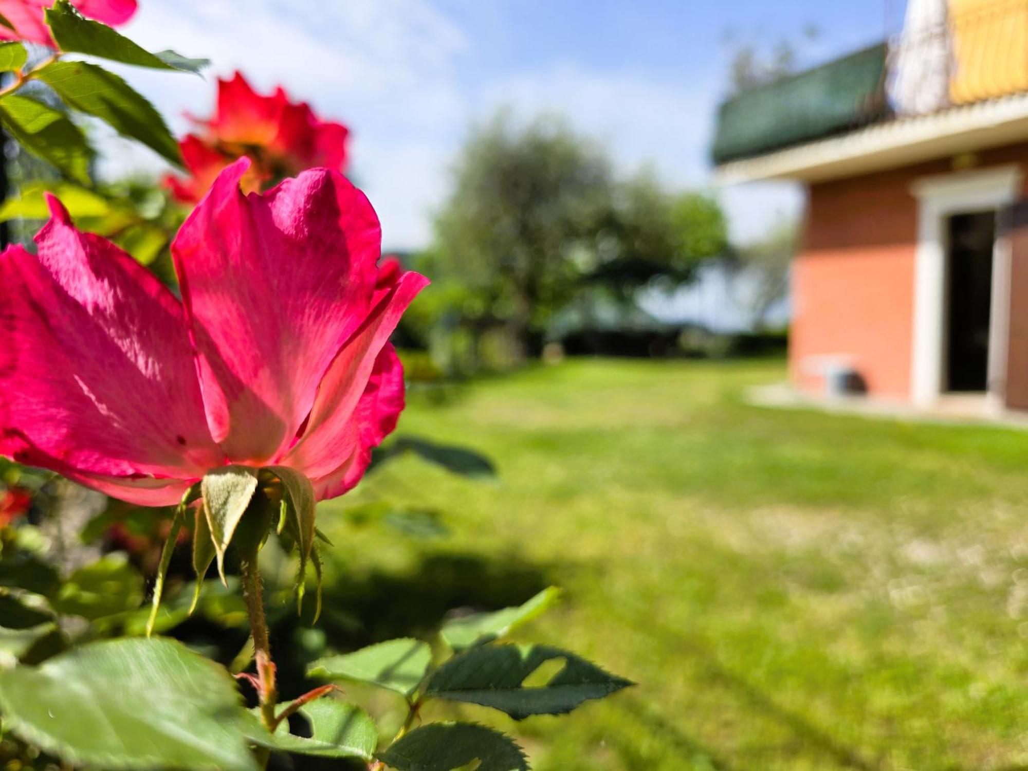 Relais Villa Olivi Costermano Zewnętrze zdjęcie